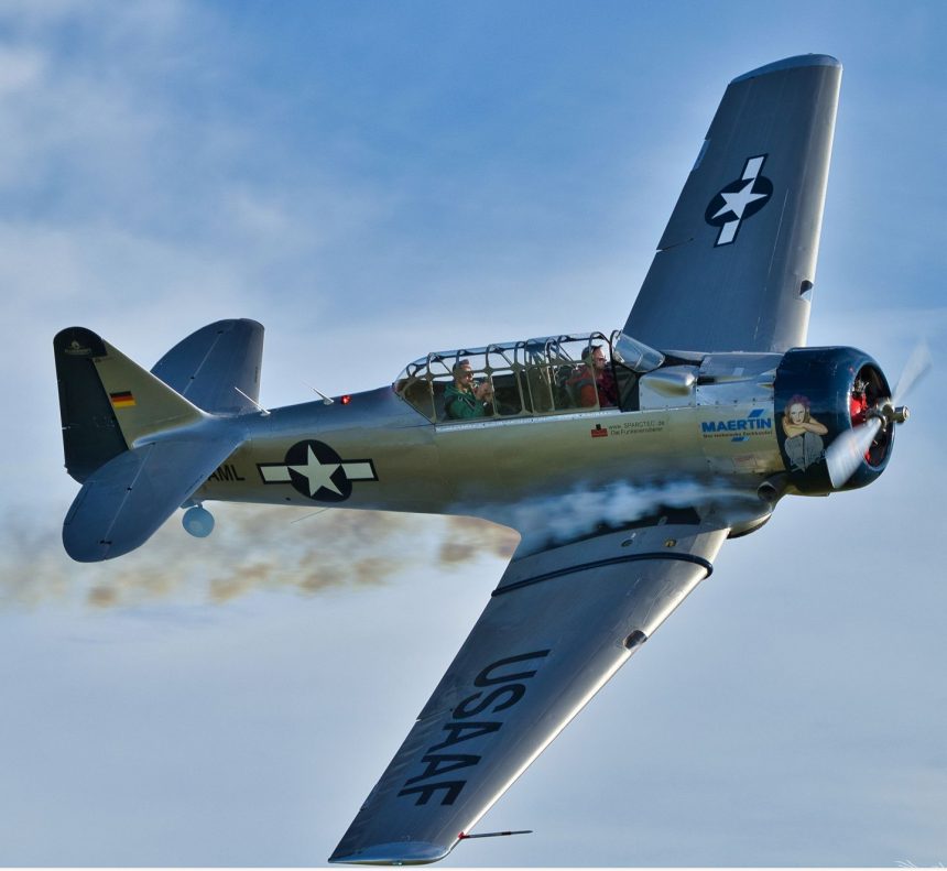 MissLasVegas_D-FAML_fly-vaf (2)